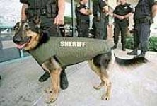 image of bulletproof_vest