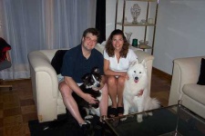 image of samoyed