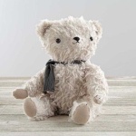 image of teddy_bear