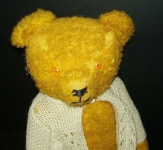 image of teddy