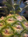image of pineapple
