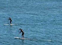 image of paddle