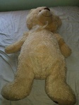 image of teddy_bear