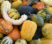 image of texture