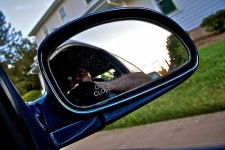 image of car_mirror