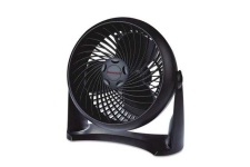 image of fan #13