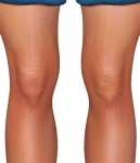 image of human_body_parts