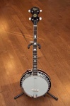 image of banjo