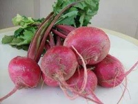 image of turnip #12