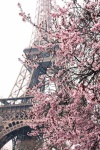 image of famus_places