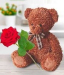 image of teddy_bear