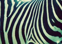 image of texture