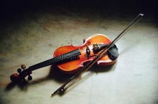 image of violin