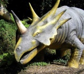 image of triceratops