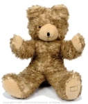 image of teddy_bear