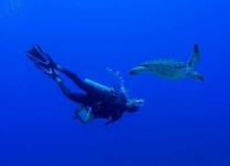 image of scuba_diver