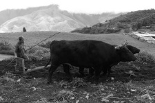 image of plow