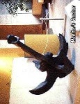 image of anchor