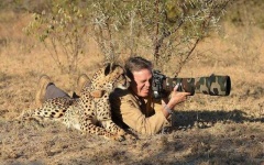 image of camouflage