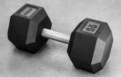 image of dumbbell