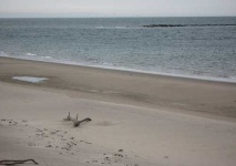 image of sandbar
