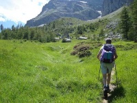 image of alp