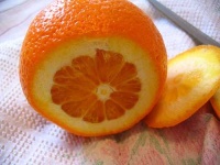 image of orange #21