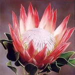 image of flower