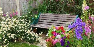 image of garden