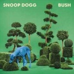 image of bush