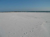 image of sandbar