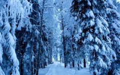 image of snowy