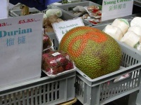 image of jackfruit