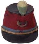 image of bearskin