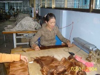image of wig