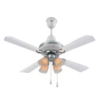image of fan