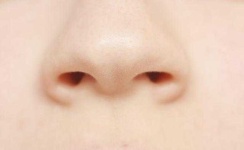 image of nose #23