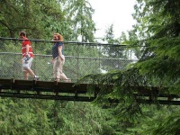 image of suspension_bridge