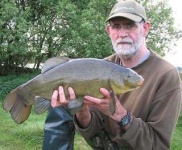 image of tench