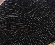 image of texture