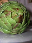 image of artichoke #1