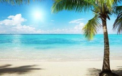 image of beach