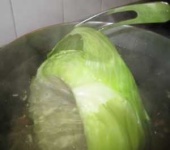 image of head_cabbage