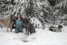 image of irish_wolfhound