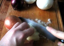 image of onion #29