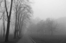 image of foggy