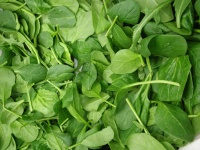 image of spinach #20