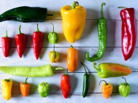 image of fruit_and_vegetable