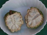 image of custard_apple #28