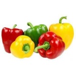 image of capsicum #14